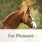 For Pleasure-DE