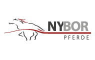 Logo NYBOR