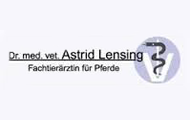 Logo Lensing1